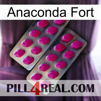 Anaconda Strong 10
